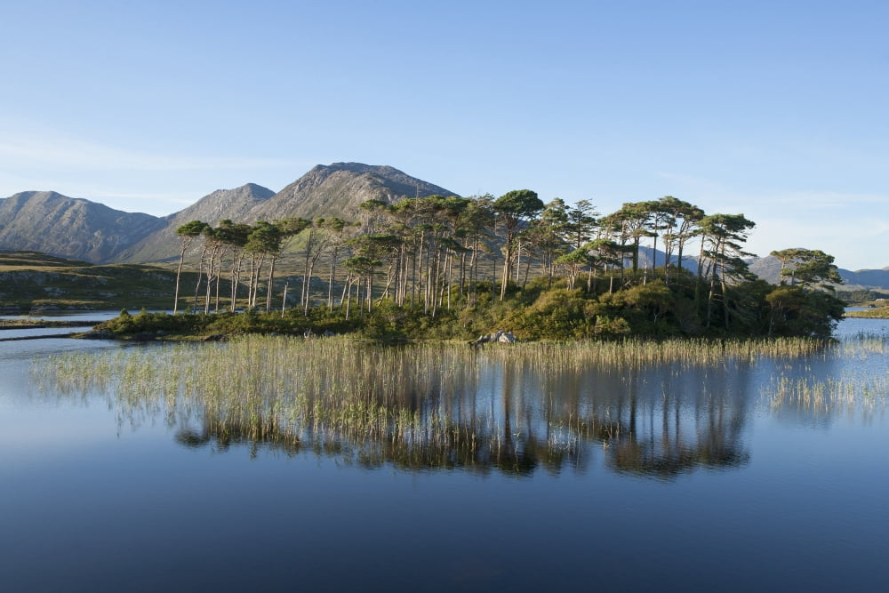 Derryclare Lough Connemara County Galway Ireland Canvas Art - Carl Bruemmer Design Pics (19 x 12)
