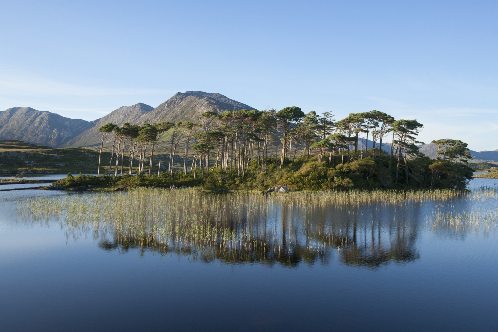 Derryclare Lough Connemara County Galway Ireland Canvas Art - Carl Bruemmer Design Pics (38 x 24)