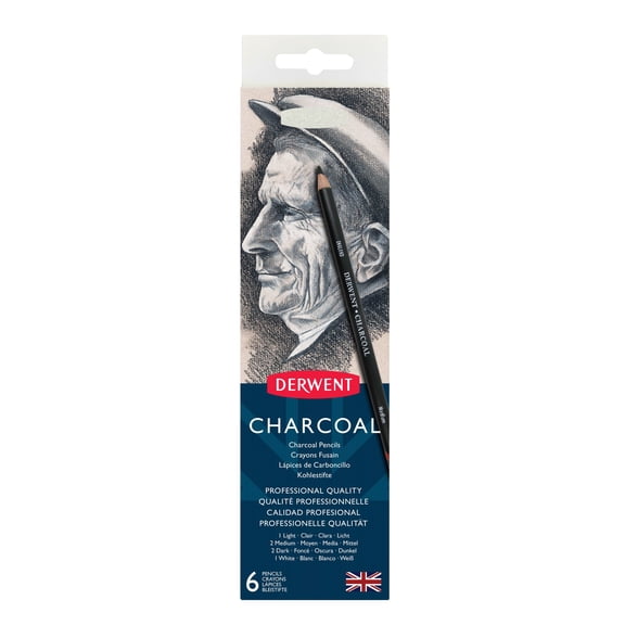 Derwent Charcoal Pencils for Drawing & Sketching, Tin of 6 with Sharpener