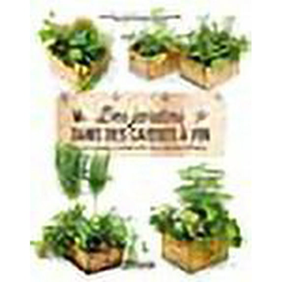 Des jardins dans des caisses à vin