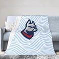 thumbnail image 1 of Desales University Logo Fleece Blanket, Very Soft Microfiber Flannel Blanket for Couch Warm and Cozy for All Seasons, 1 of 6