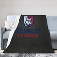 thumbnail image 1 of Desales University Logo Fleece Blanket, Very Soft Microfiber Flannel Blanket for Couch Warm and Cozy for All Seasons, 1 of 6