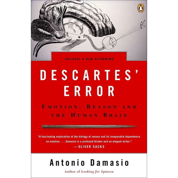 Descartes' Error: Emotion, Reason, and the Human Brain, (Paperback)