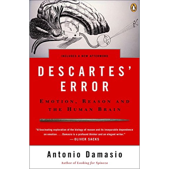 Pre-Owned Descartes' Error: Emotion, Reason, and the Human Brain (Paperback) 014303622X 9780143036227
