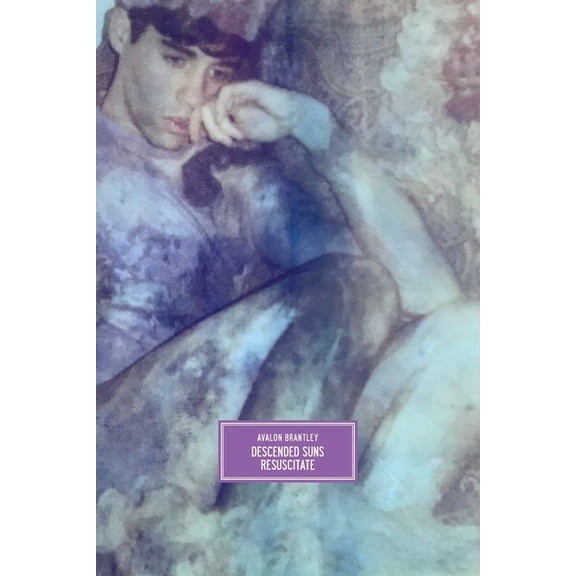 Descended Suns Resuscitate (Paperback) by Avalon Brantley