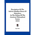 thumbnail image 1 of Descriptions Of The Inferior Maxillary Bones Of Mastodons : In The Cabinet Of The American Philosophical Society (1833) (Paperback), 1 of 1