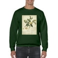 thumbnail image 1 of Descube Botanical I Sweatshirt Men -A. Descubes Designs, Male Medium, 1 of 4