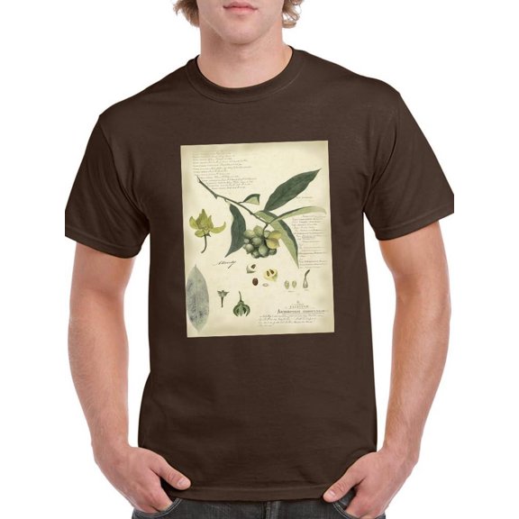 Descube Botanical Ii T-Shirt Men -A. Descubes Designs, Male 5X-Large