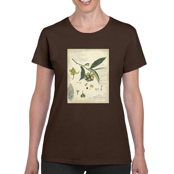Descube Botanical Ii T-Shirt Women -A. Descubes Designs, Female 4X-Large