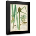 thumbnail image 1 of Descubes, A. 13x18 Black Modern Framed Museum Art Print Titled - Descubes Botanical Grass III, 1 of 5