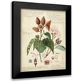 thumbnail image 1 of Descubes, A. 15x18 Black Modern Framed Museum Art Print Titled - Descube Botanical V, 1 of 5