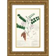 thumbnail image 1 of Descubes, A. 21x32 Gold Ornate Wood Framed with Double Matting Museum Art Print Titled - Descubes Ferns I, 1 of 4