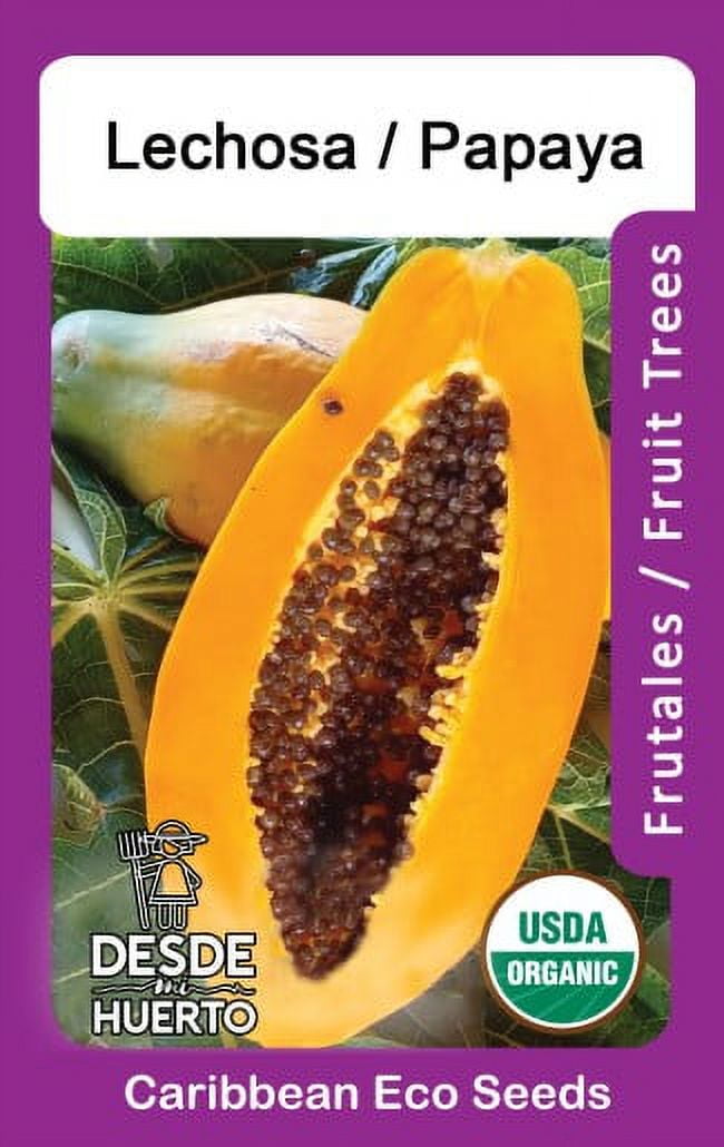 Papaya Maradol Plant Organic Seeds - Walmart.com