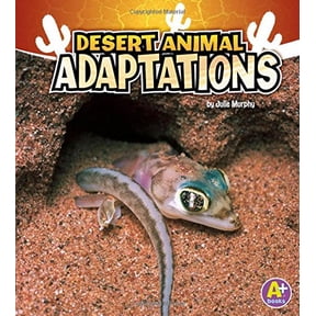 Pre-Owned Desert Animal Adaptations (Paperback) 1429670258 9781429670258