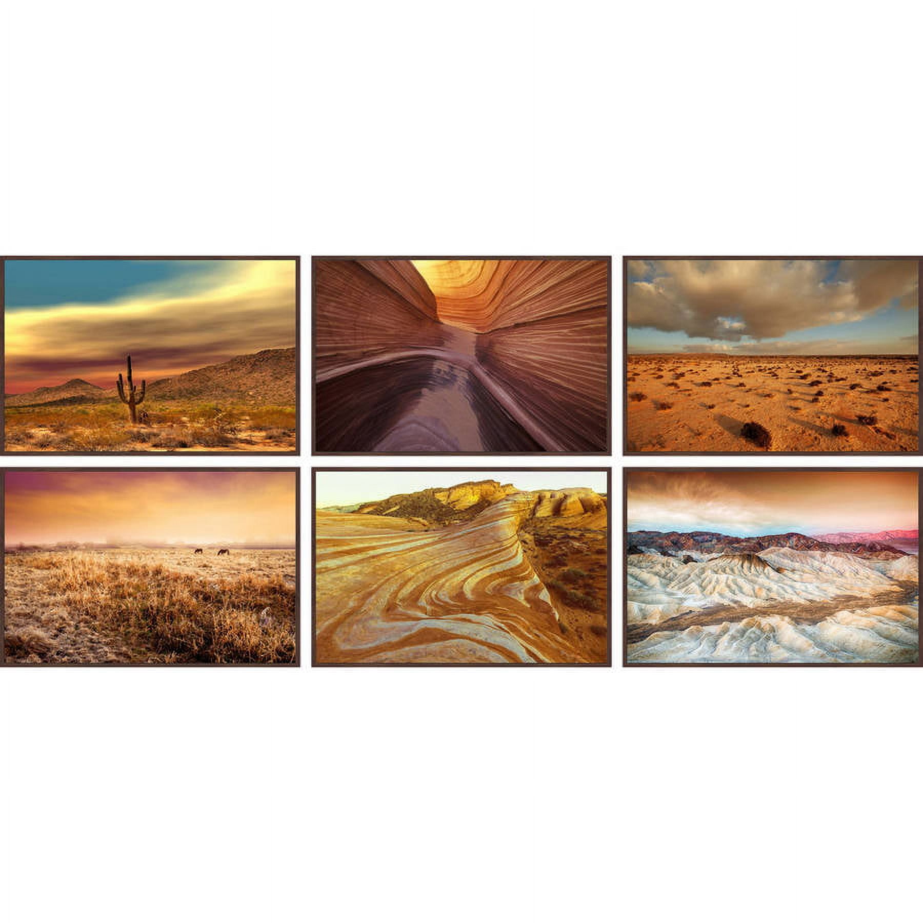 Desert Beauty Hexaptych
