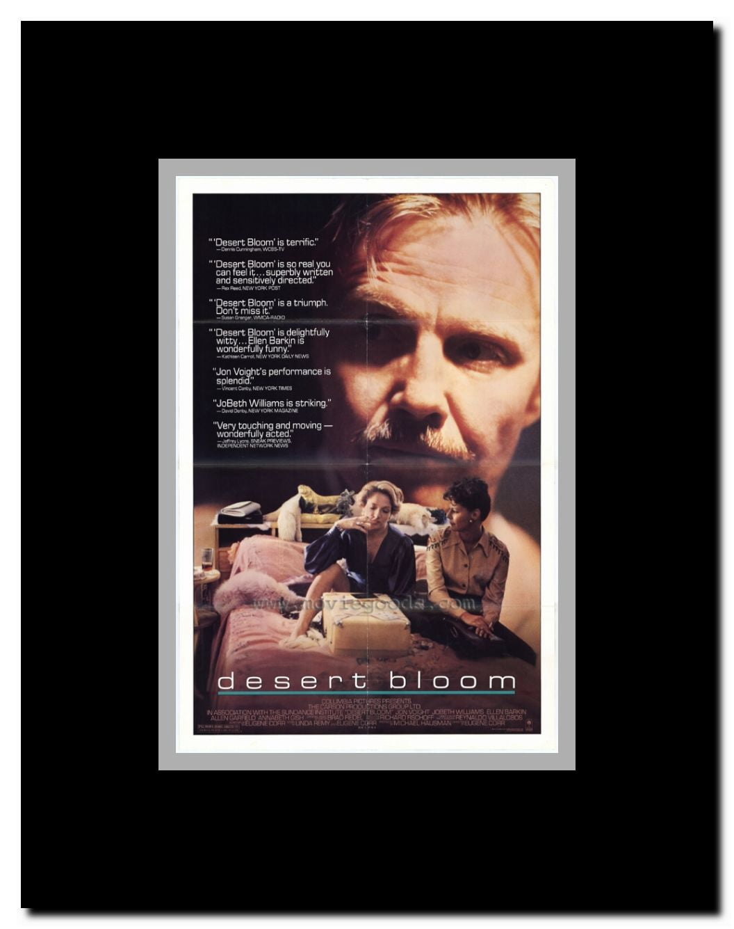 Desert Bloom Framed Movie Poster