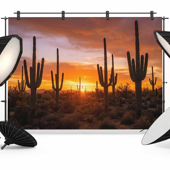 Desert Cactus Backdrop for Photography, Sunset Plant Nature Landscape Modern Photo Backdrop Portrait Background Party Banner Photo Backgrounds for Studio Booth Props, 7x5ft