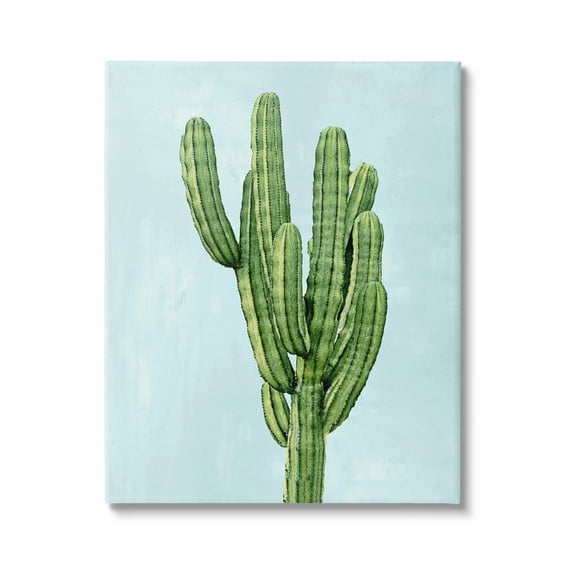 Desert Cactus Blue Sky Botanical & Floral Graphic Art Gallery Wrapped Canvas Print Wall Art
