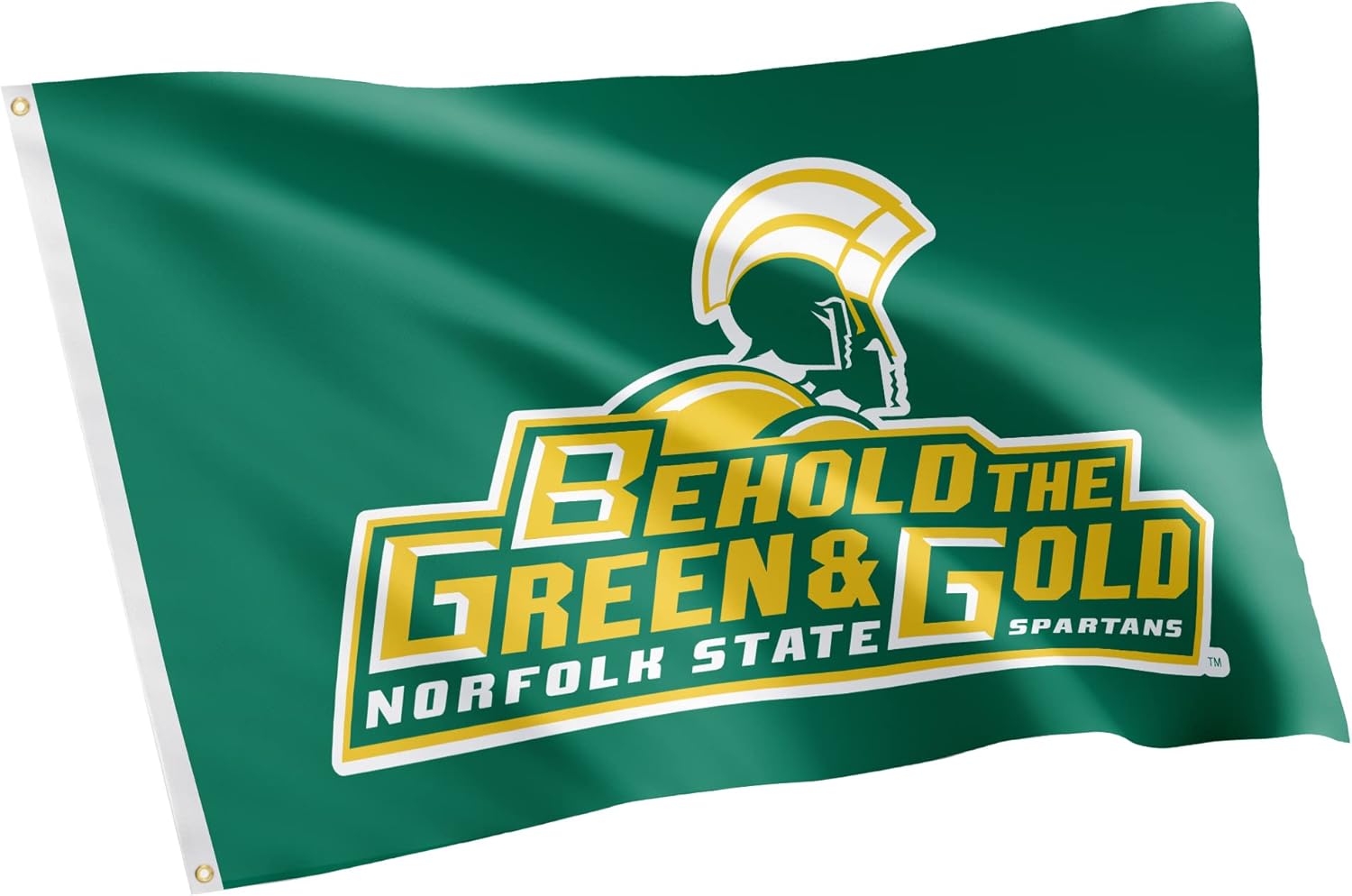 Desert Cact Salem State University Flag Vikings...