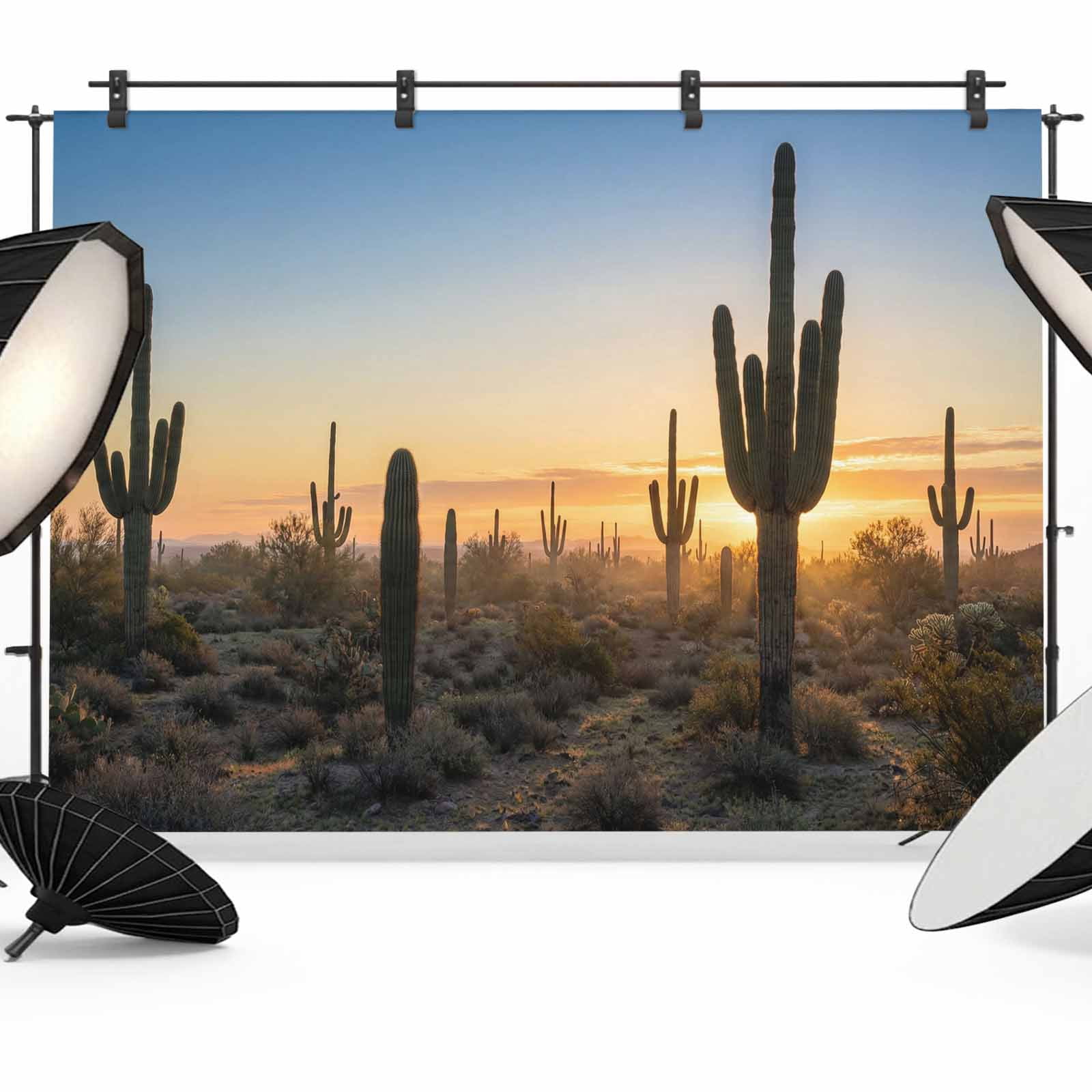 Cactus Computer Backdrops Desert Cactus Photography Backdrop 7x5FT, Sunrise Plant Nature ...