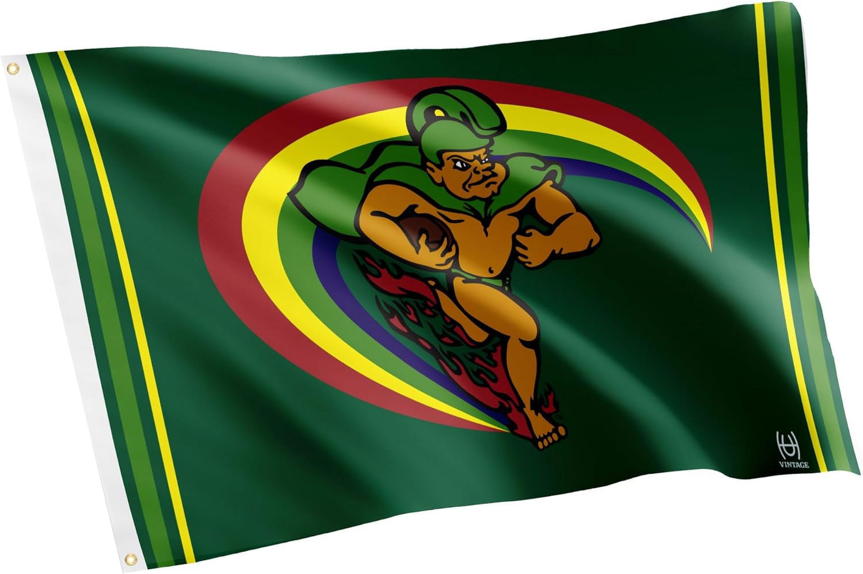 Desert Cactus University of Hawaii Flag Rainbow Warriors UH Flag