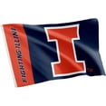 Desert Cactus University of Illinois Flag Fighting Illini U of I Flag