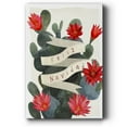 thumbnail image 1 of Desert Christmas Cactus I- Gallery Wrapped Canvas, 1 of 9