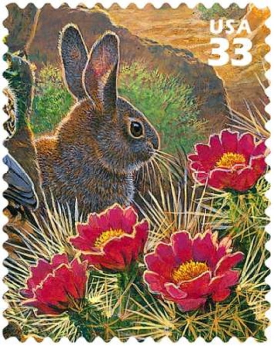 Desert Cottontail Canvas Art - US POSTAL SERVICE (22 x 28)