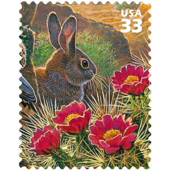 Desert Cottontail Canvas Art - US POSTAL SERVICE (22 x 28)
