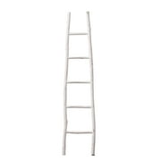 Desert Fields Decorative Wooden Ladder with White Dip Paint