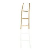 Desert Fields Decorative Wooden Ladder with White Dip Paint