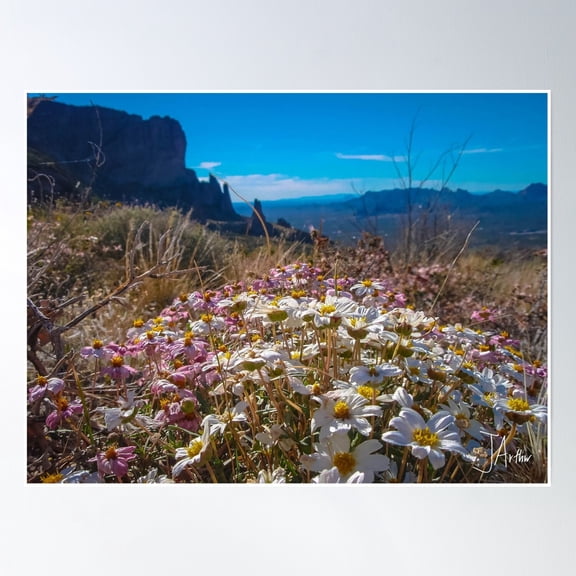 Desert Flowers Poster Wall Art, Modern Wall Decor, 8x12 UNFRAMED