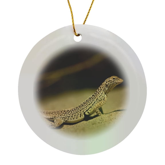 3drose, Desert Fringe-toed Lizard, Arizona Desert - Us03 Jmc0003 - Joe and Mary Ann Mcdonald, Circle Porcelain Ornament