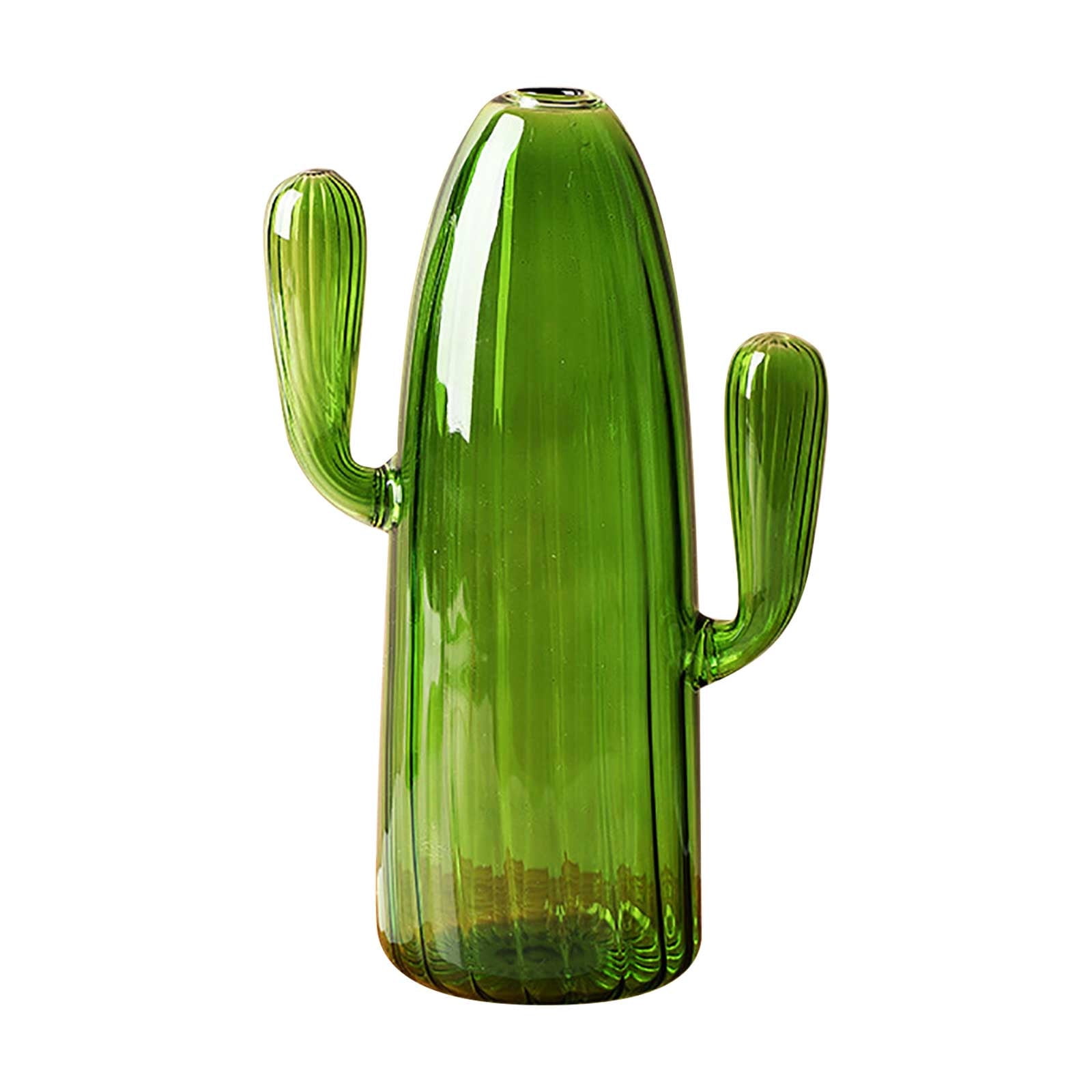 Desert Glass Cacti Vase Desktop Decorative Ornament Hydroponic Cactus ...