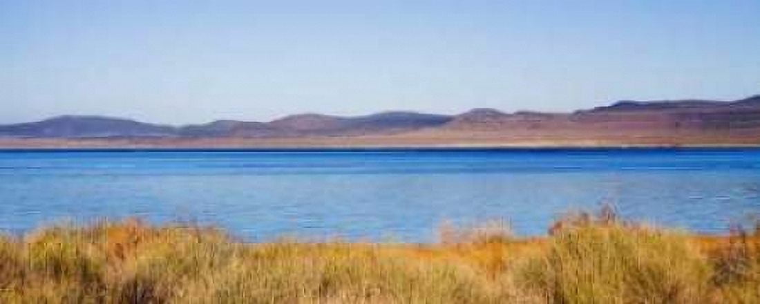 Desert Lake I Canvas Art - Rita Crane (10 x 20)