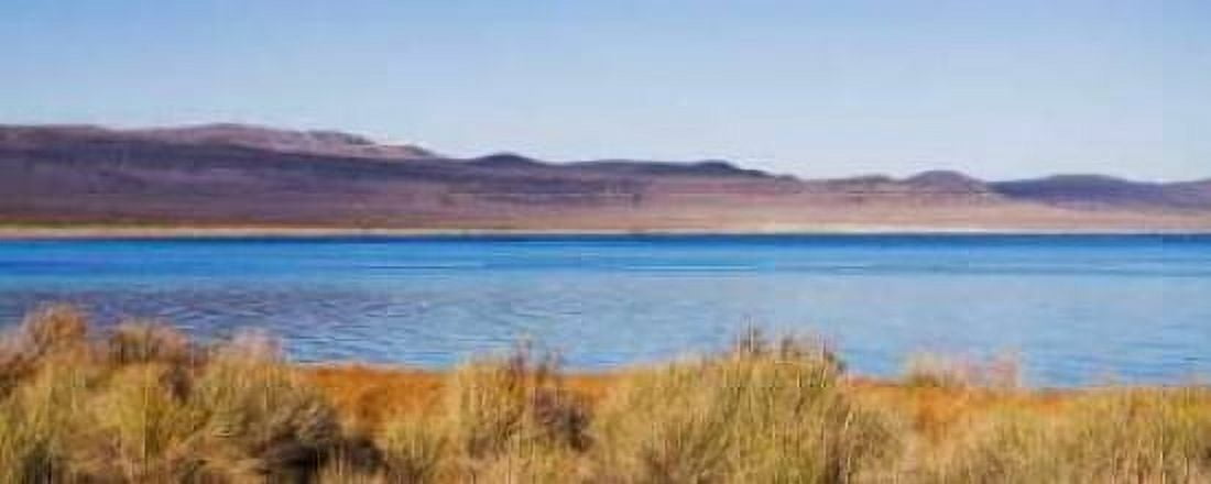 Desert Lake II Canvas Art - Rita Crane (10 x 20)
