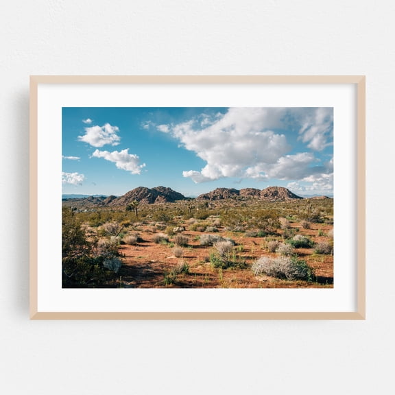 Desert Landscape, Joshua Tree 02 - Joshua Tree California Photography Desert Landscape Nature Mountain Scenic Rural Cactus Oak Framed Wall Art Print 5 x 7 inches