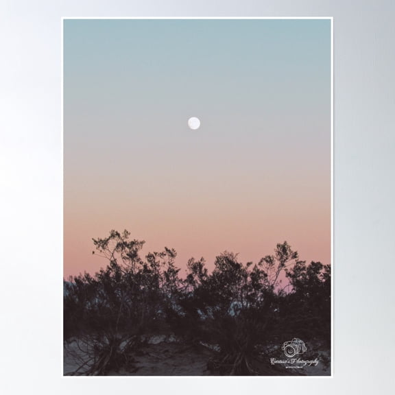 Desert Moon Poster Wall Art, Modern Wall Decor, 16x24 UNFRAMED