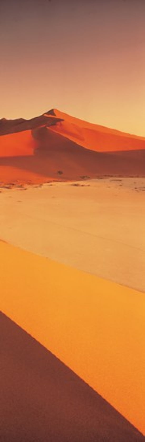 Desert Namibia Canvas Art - Panoramic Images (36 x 12)