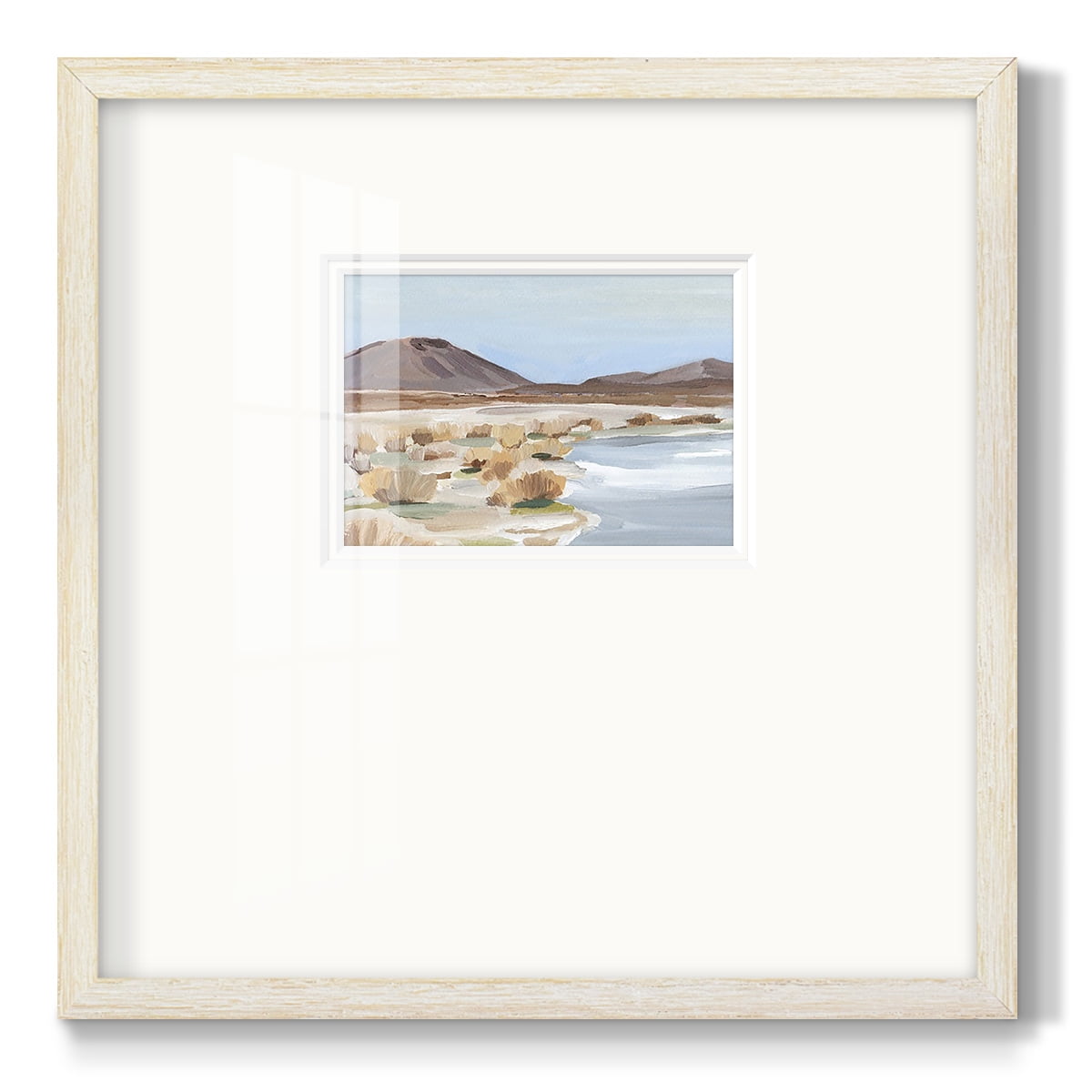 Desert Oasis Study IIPremium Framed Print