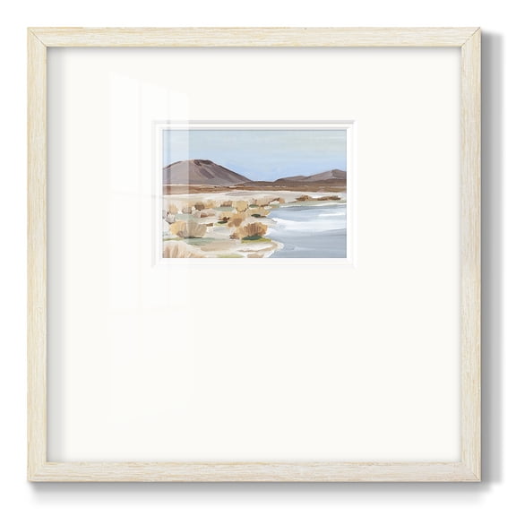 Desert Oasis Study IIPremium Framed Print