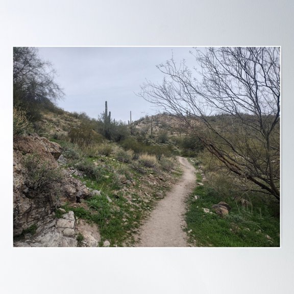 Desert Path Poster, 12x18 UNFRAMED