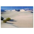 thumbnail image 1 of Desert Picture Ceramic Tile Mural Kitchen Backsplash Bathroom Shower, 404665-XL6, 1 of 3