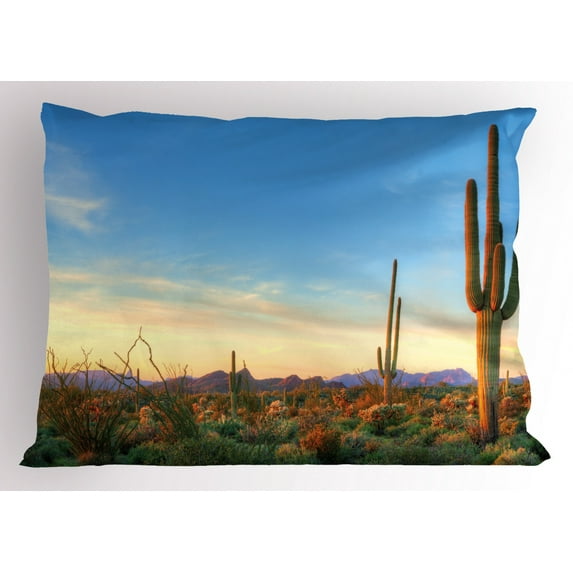 Desert Pillow Sham Sonoran Desert Catching Days Last Rays Saguaro Cactus Wild Vegetation, Decorative Standard Queen Size Printed Pillowcase, 30 X 20 Inches, Green Orange Pale Blue, by Ambesonne