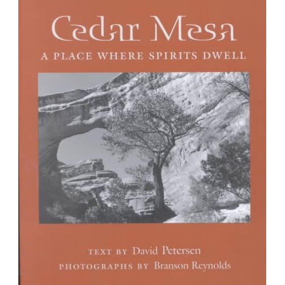 Desert Places: Cedar Mesa : A Place Where Spirits Dwell (Paperback)
