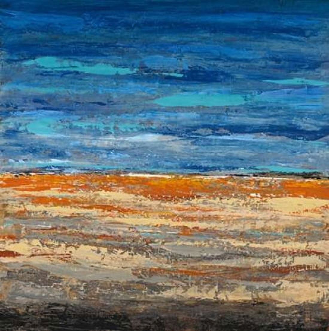 Desert Poppies Canvas Art - Dennis Dascher (24 x 24)