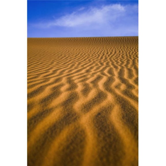 Desert Poster Print - 24 x 36 - Large