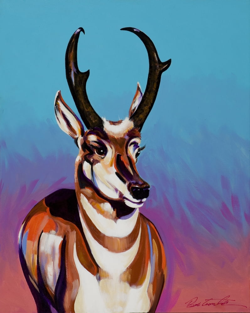 Desert Pronghorn Canvas Art - Bob Coonts (22 x 28)