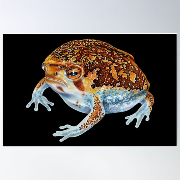 Desert Rain Frog Poster Wall Art, Modern Wall Decor For Living Room Bedroom, 16x24 UNFRAMED
