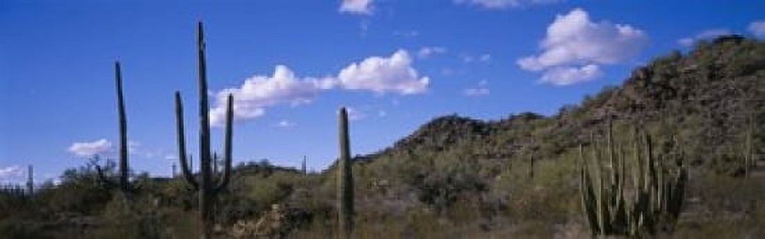 Desert Road AZ Canvas Art - Panoramic Images (18 x 6)